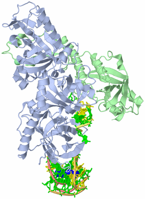 Image Asym./Biol. Unit