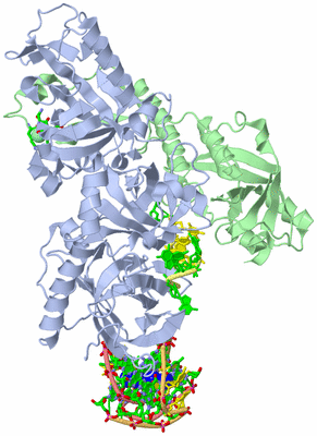 Image Asym./Biol. Unit - sites