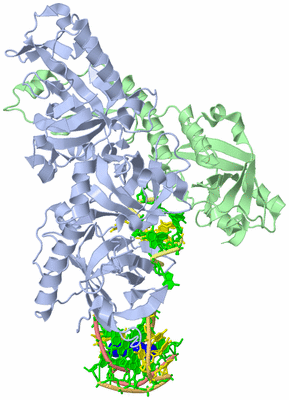 Image Asym./Biol. Unit