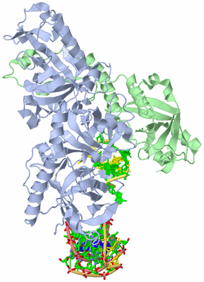 Image Asym./Biol. Unit - sites