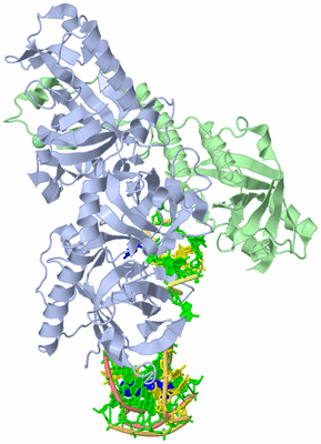 Image Asym./Biol. Unit