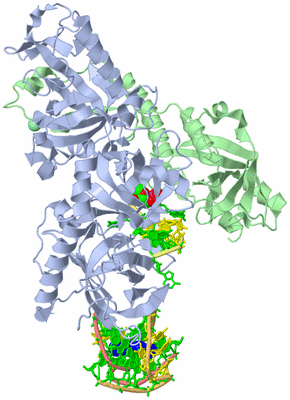 Image Asym./Biol. Unit