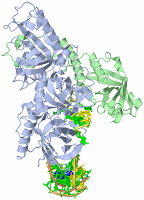 Image Asym./Biol. Unit