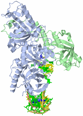 Image Asym./Biol. Unit