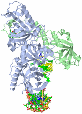 Image Asym./Biol. Unit - sites