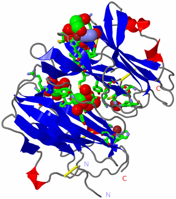 Image Asym./Biol. Unit - sites