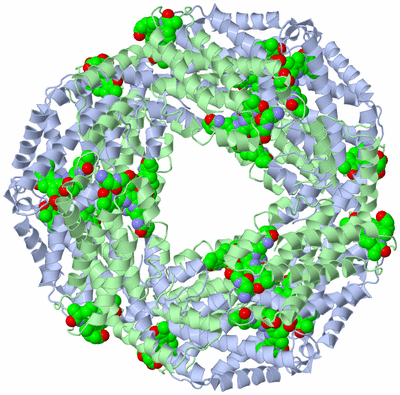 Image Biological Unit 2