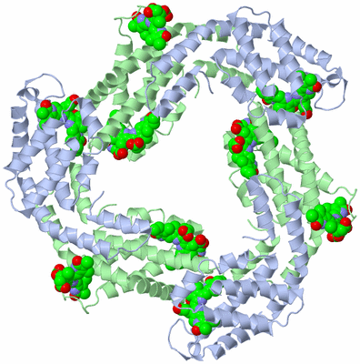 Image Biological Unit 3