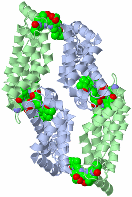 Image Biological Unit 4