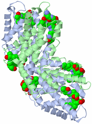 Image Biological Unit 5