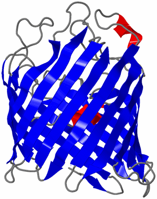 Image Asymmetric Unit