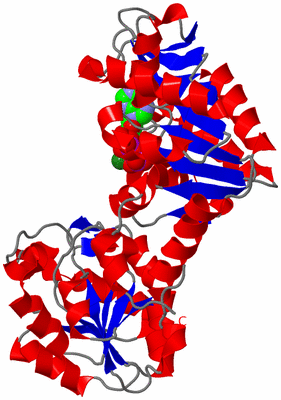 Image Asym./Biol. Unit