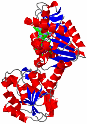 Image Asym./Biol. Unit - sites