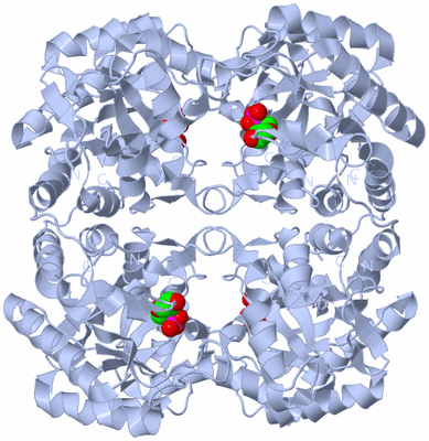 Image Biological Unit 1