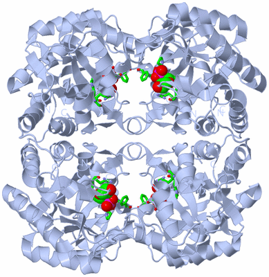 Image Biol. Unit 1 - sites