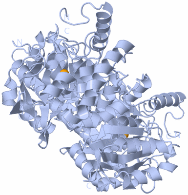 Image Biological Unit 1