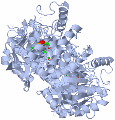 Image Biol. Unit 1 - sites