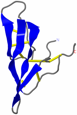 Image Asymmetric Unit