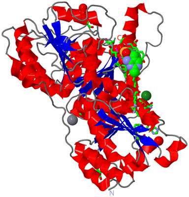 Image Asym. Unit - sites