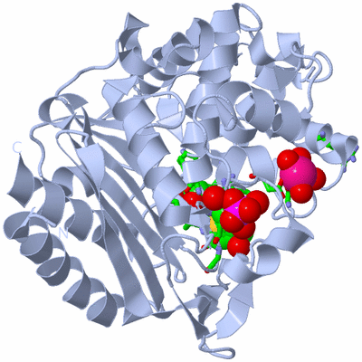 Image Biol. Unit 1 - sites