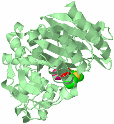 Image Biological Unit 2