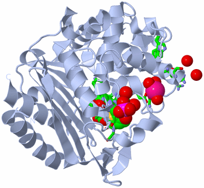 Image Biol. Unit 1 - sites