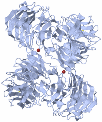 Image Biological Unit 2