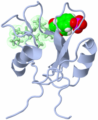 Image NMR Structure - model 1