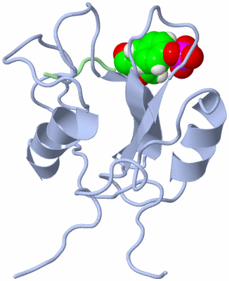 Image NMR Structure - all models