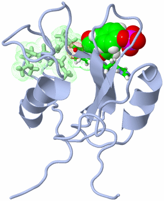 Image NMR Structure - model 1, sites