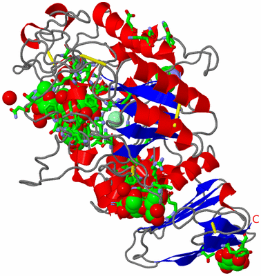 Image Asym./Biol. Unit - sites