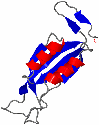 Image Asymmetric Unit