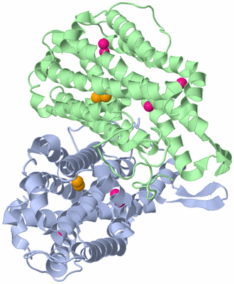 Image Asym./Biol. Unit