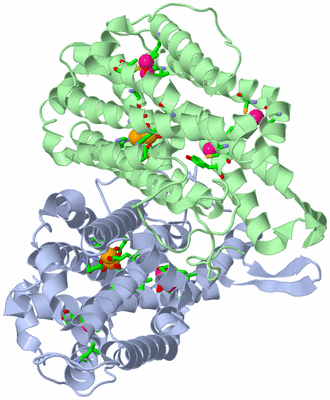 Image Asym./Biol. Unit - sites