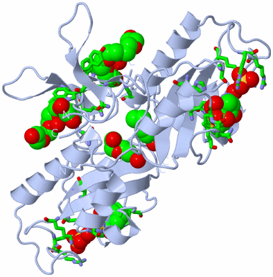 Image Biol. Unit 1 - sites