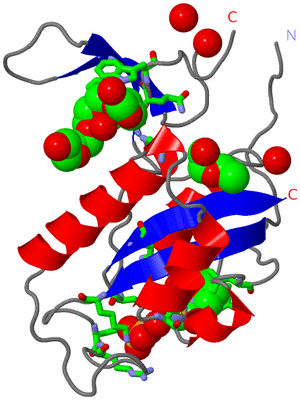 Image Asym. Unit - sites