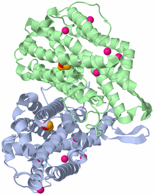 Image Asym./Biol. Unit