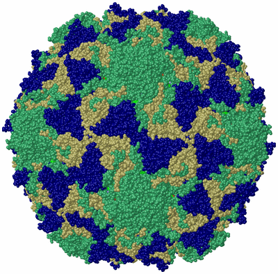 Image Biol. Unit 1 - sites