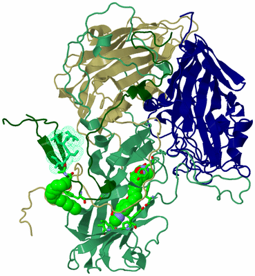 Image Asym. Unit - sites