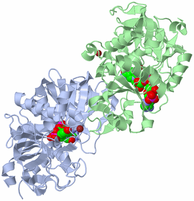 Image Asym./Biol. Unit