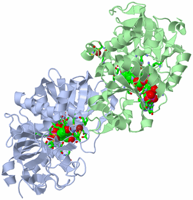 Image Asym./Biol. Unit - sites