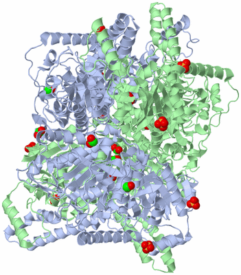 Image Biological Unit 2