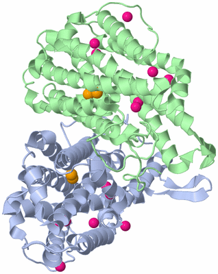 Image Asym./Biol. Unit