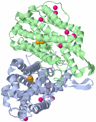 Image Asym./Biol. Unit