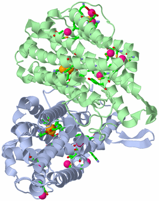 Image Asym./Biol. Unit - sites