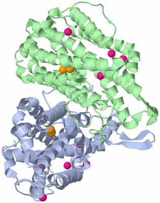 Image Asym./Biol. Unit