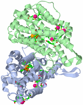 Image Asym./Biol. Unit - sites