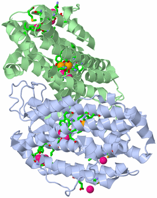 Image Asym./Biol. Unit - sites