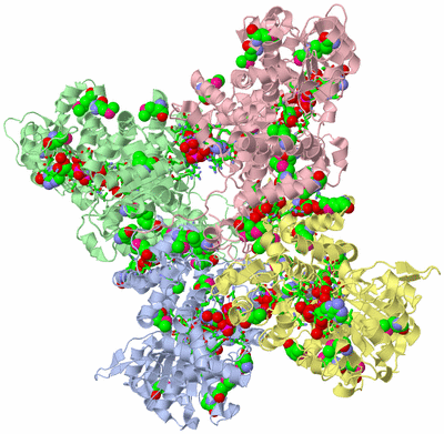 Image Asym./Biol. Unit - sites