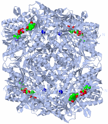 Image Biological Unit 1